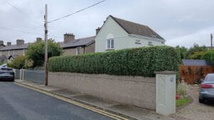 The Importance of Regular Hedge Trimming for Dublin Homes