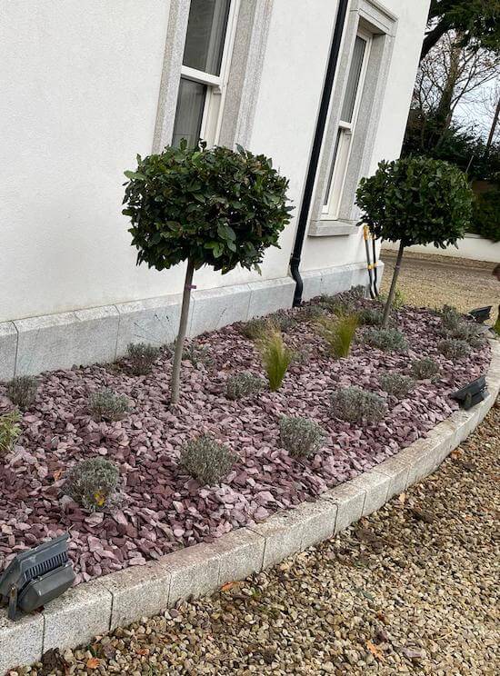 weed and pest control20-58-40 4 copy weed and pest control20-58-40 4 copy